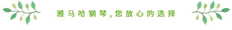这才是真相：绿色关爱，fun88乐天堂的环境政策