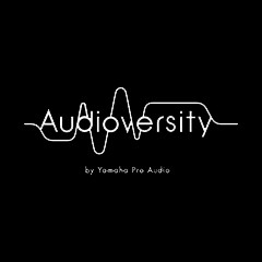 fun88乐天堂专业音响教育培训开展全新“Audioversity ”计划