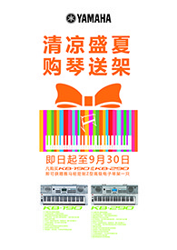 清凉盛夏，购琴送架 